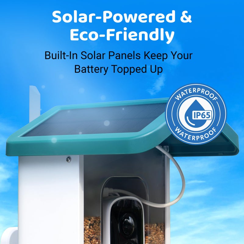 WuzuTech Happy Birdy Smart Bird Feeder with Camera - 2.5K HD Video, Wild Bird Feeder with Wall Mount & Pole Strap Kit, Free AI App IDs 10K+ Birds, Solar Power Panels, Infrared Night Vision, Weatherproof IP67 - Image 4