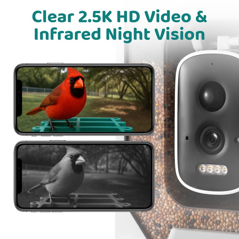 WuzuTech Happy Birdy Smart Bird Feeder with Camera - 2.5K HD Video, Wild Bird Feeder with Wall Mount & Pole Strap Kit, Free AI App IDs 10K+ Birds, Solar Power Panels, Infrared Night Vision, Weatherproof IP67 - Image 3