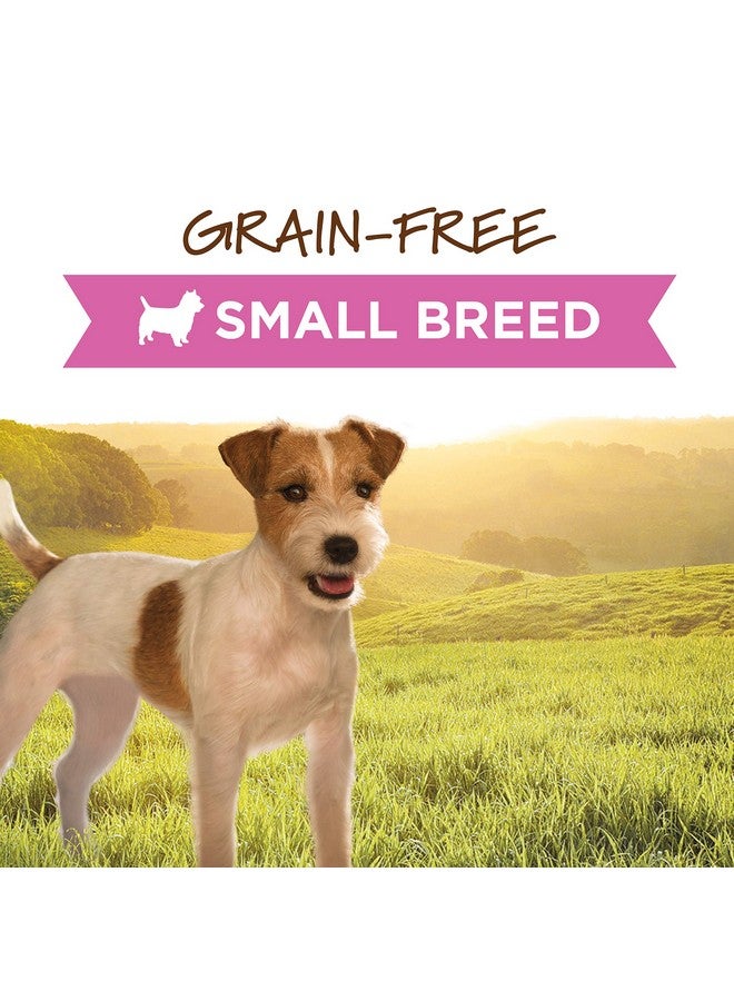 Instinct Original Small Breed, Wet Dog Food, Grain Free Recipe - Real Chicken, 5.5 oz. Cans (Pack of 12) - Image 2