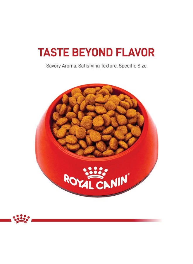 رويال كانين طعام جاف للكلاب من رويال كانين كافالير كينج تشارلز سبانييل، مخصص للسلالات البالغة، كيس 10 أرطال - Image 4