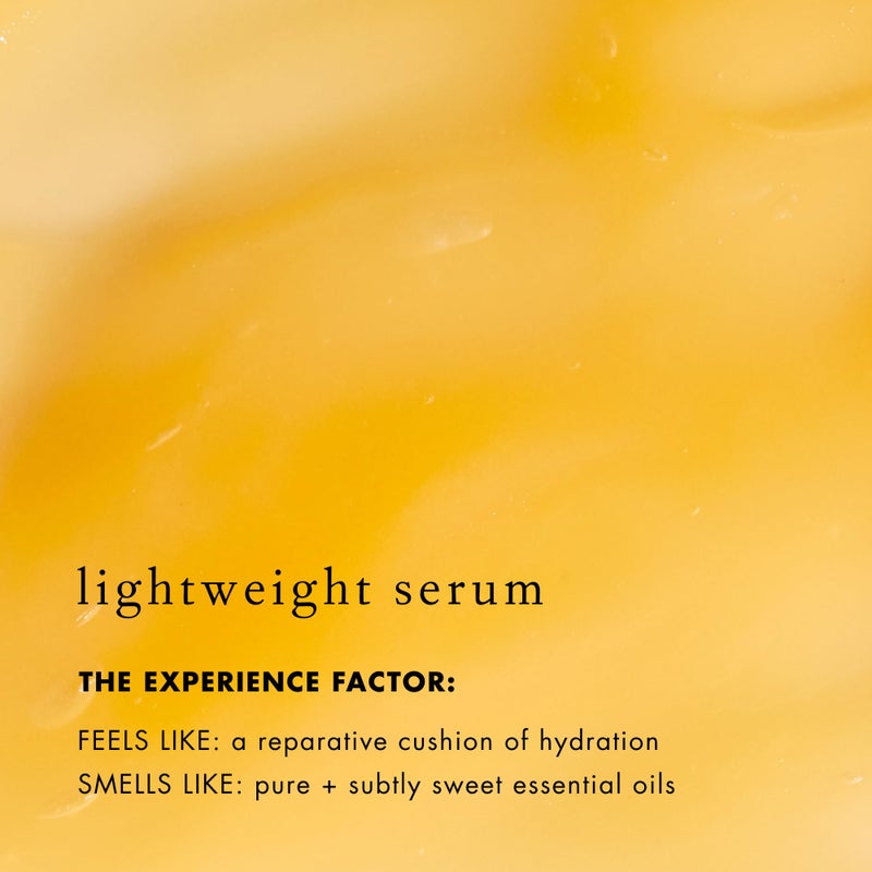 Bioelements Lip Clinic Hydrating Serum - 0.33 fl oz - Moisturize & Hydrate with Shea Butter & Squalane - Vegan, Gluten Free - Never Tested on Animals - Image 4