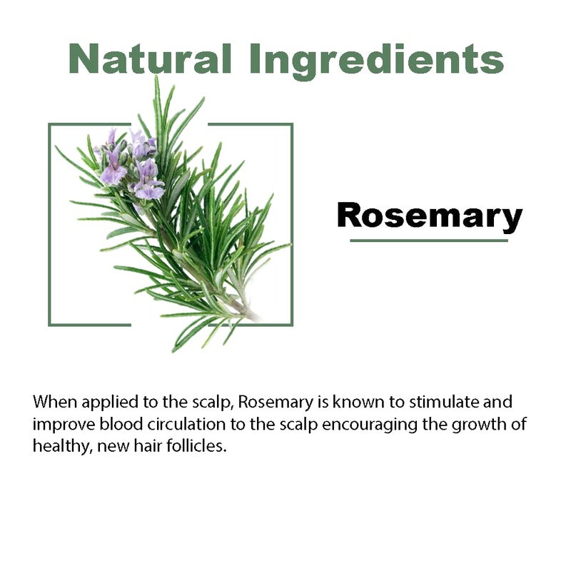 Moraz Natural Detangler Spray for Kids with Rosemary Extract, Kids Detangler Spray for All Hair Types, Organic Detangler Spray Toddler, 8.5 FL. OZ. - Image 4