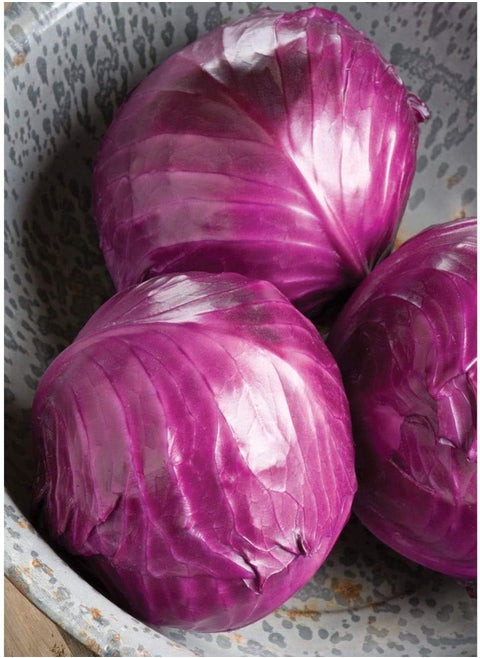 Cabbage Ruby Perfection 7742 (Red) 100 Non-GMO, Hybrid Seeds