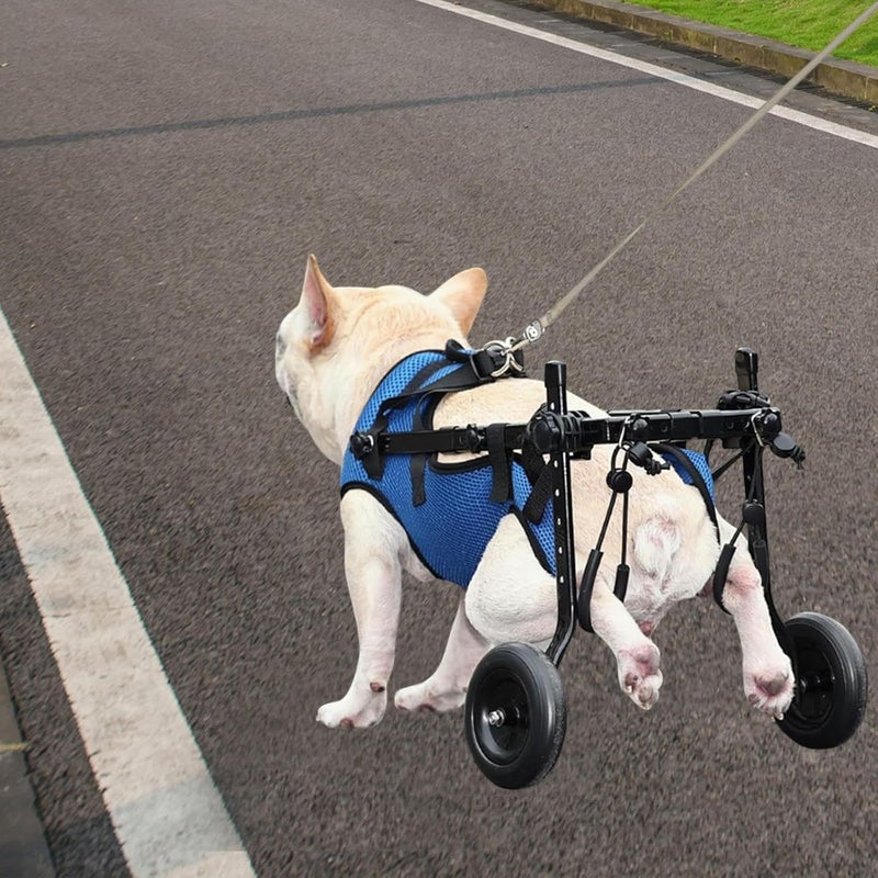 LOOM TREE Dog Wheelchair for Back Legs Sturdy for Disabled Dog Disabled Dog Wheelchair M | Pet Supplies - Image 4