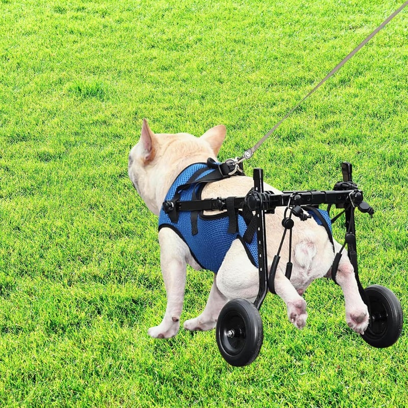 LOOM TREE Dog Wheelchair for Back Legs Sturdy for Disabled Dog Disabled Dog Wheelchair M | Pet Supplies - Image 3