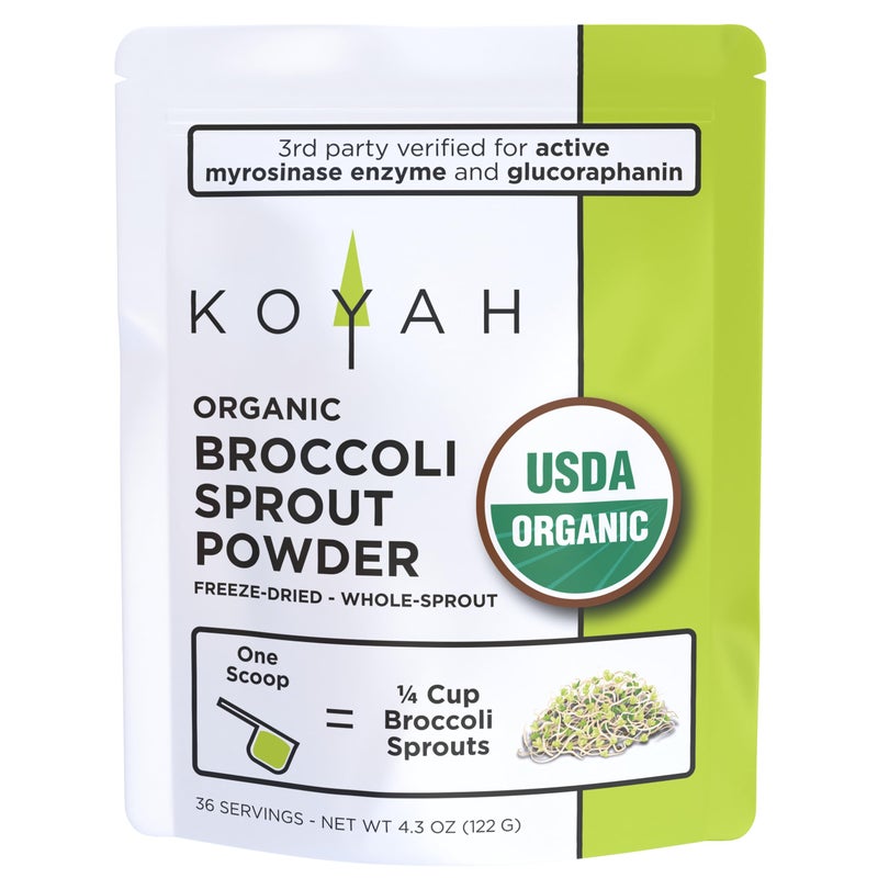 KOYAH Organic USA Broccoli Sprout Powder 1 Scoop 14 Cup Sprouts 36 Servings FreezeDried Tested for Active Myrosinase and Glucoraphanin Sulforaphane Glucosinolate