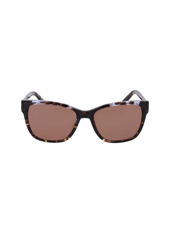 DKNY Wayfarers Sunglasses - Image 1