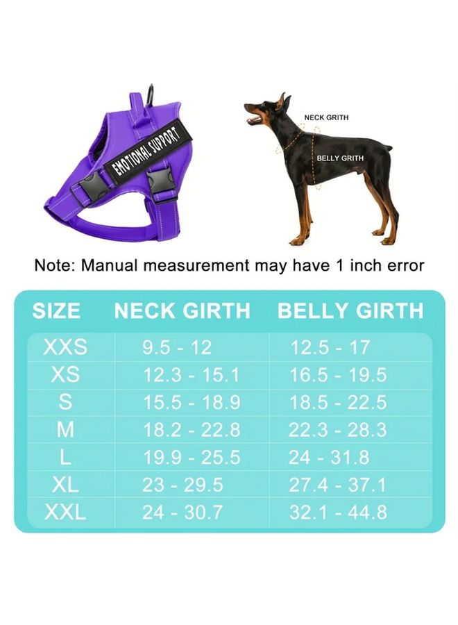 Blue Night Reflective Two Piece Pet Chest Strap With Rope - Image 5