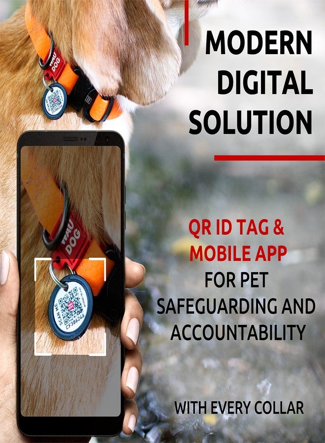 WAUDOG Waterproof Dog Collar - Adjustable Dog Collar with Air Holder and QR Dog Tag for Large Dogs, Small and Medium Dogs - Image 3