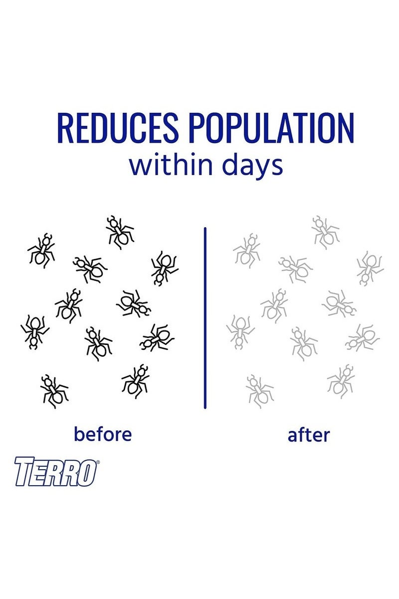 طُعم النمل السائل الشفاف، 6 قطع، 5×5×5 سم - Image 4