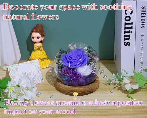 Valley of Rain & Forest Long-Lasting Real Flowers, Unique Floral Gift For you to send Love for All Occasions, for Indoor Decoration (Violet Rose, Purple & White Austin Roses) - Image 5