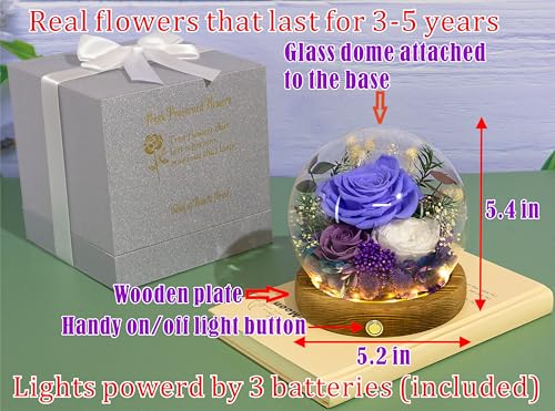 Valley of Rain & Forest Long-Lasting Real Flowers, Unique Floral Gift For you to send Love for All Occasions, for Indoor Decoration (Violet Rose, Purple & White Austin Roses) - Image 2
