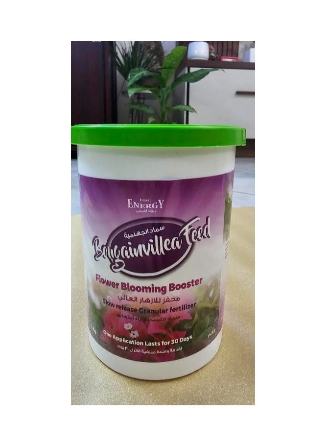 DESERT ENERGY - Bougainvillea Feed Flower Booster -1kg - Image 1