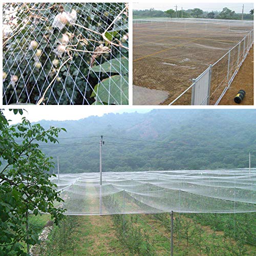 GWHOLE 33 x13 Ft Garden Netting for Tree and Plant Protection - Image 5