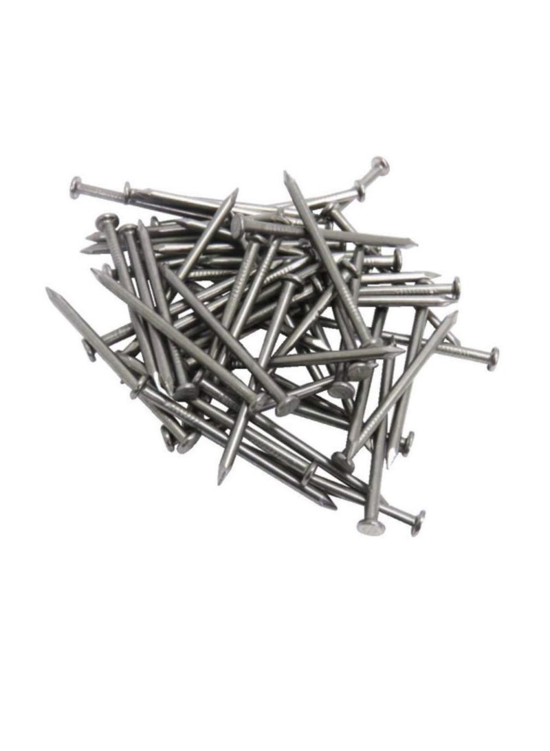 High Strength Round Head Nails For Carpentry Hardware Electrical Etc (300, 3/4 inch) - Image 2