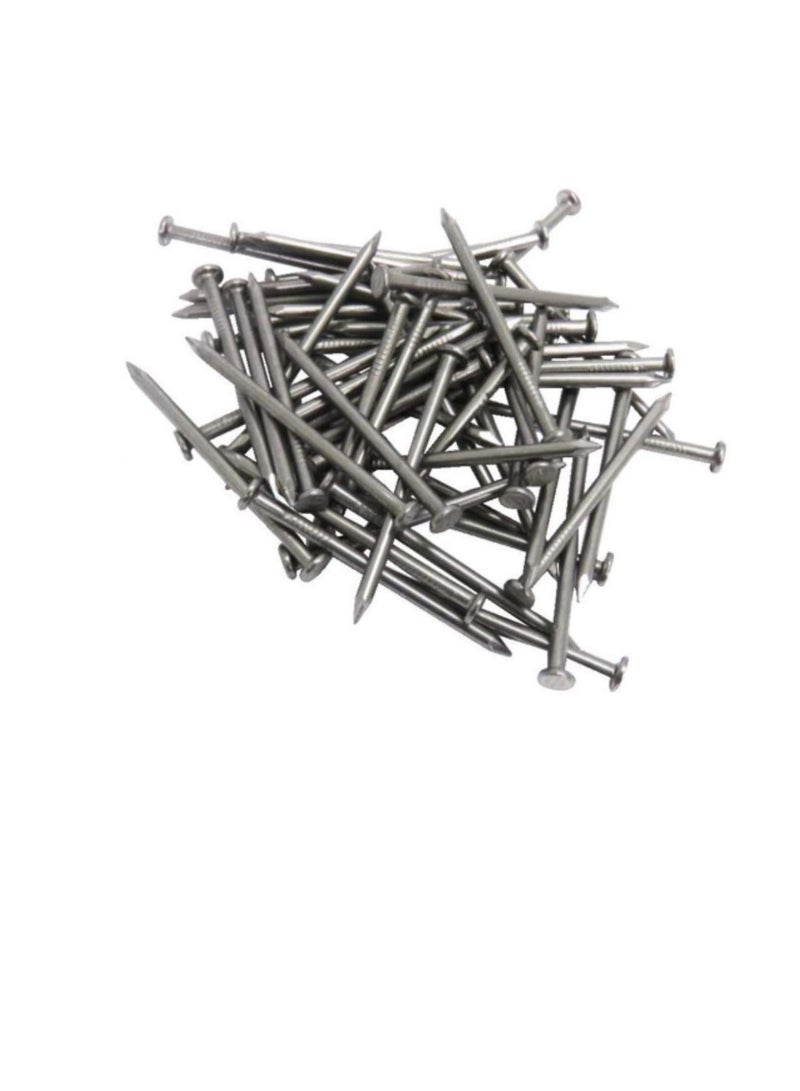 High Strength Round Head Nails For Carpentry Hardware Electrical Etc (300, 3/4 inch) - Image 3