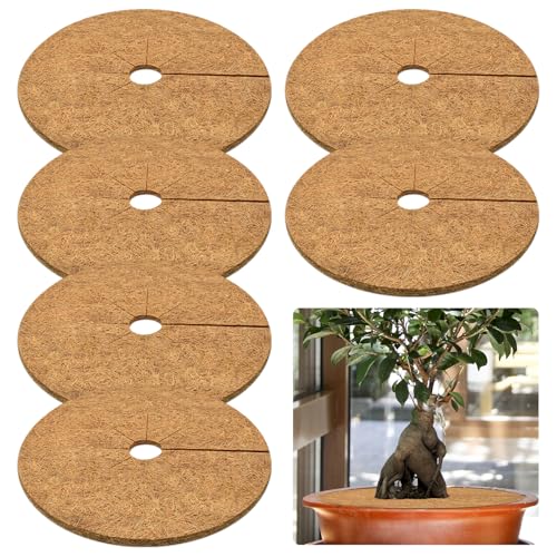 ZeeDix 6 Pack Coconut Fiber Mulch Ring, 24 Inch Coco Coir Tree Ring Mulch Mat, 100% Natural Tree Protector Mat Plant Cover Ring Coconut Coir Discs Tree Mats Mulch Rings for Indoor Outdoor Trees Plants - Image 1