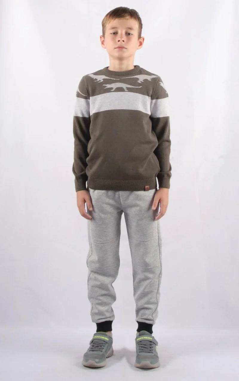 الكسندر جاردي Dinosaur Patterned Children's Knitwear Sweater (C21-18936)