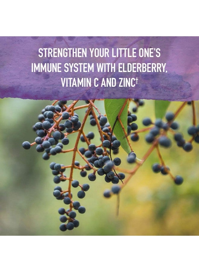 Garden of Life حديقة الحياة العضوية دعم المناعة من البلسان للأطفال مع الزنك وفيتامين C - شراب سائل من البلسان للأطفال ودعم النوم، أعشاب وقت النوم للأطفال، بدون كحول، بدون سكر مضاف، 3.92 أونصة سائلة - Image 4