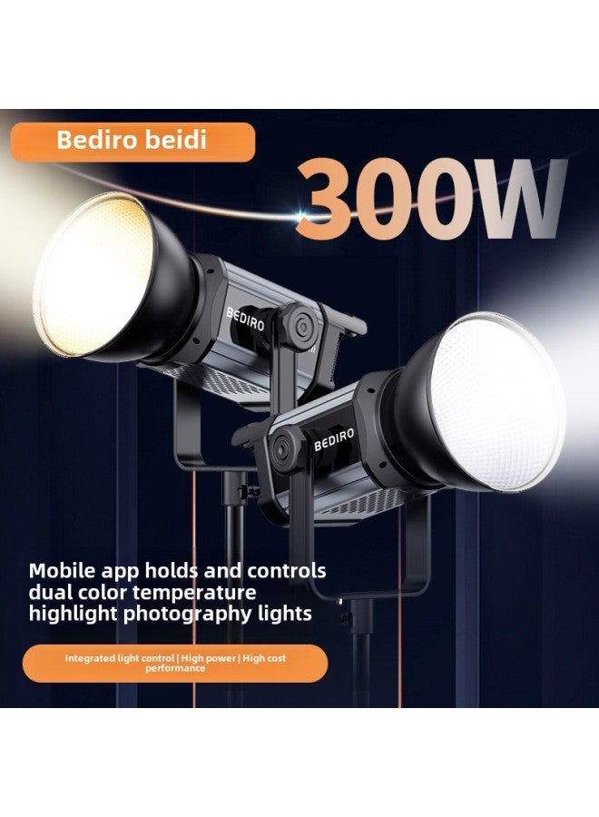 300W Live Room Fill Light Anchor With Goods Photography Light Soft Light Led Photo Beauty Lighting Suit Wholesale-Light Source Color:300w Lamp + 60cm Lantern Soft Light Ball + 2.8m Bracket - Image 3