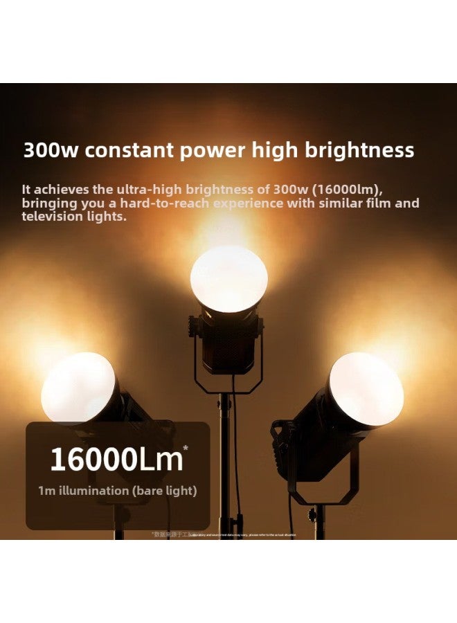 300W Live Room Fill Light Anchor With Goods Photography Light Soft Light Led Photo Beauty Lighting Suit Wholesale-Light Source Color:300w Lamp + 60cm Lantern Soft Light Ball + 2.8m Bracket - Image 4