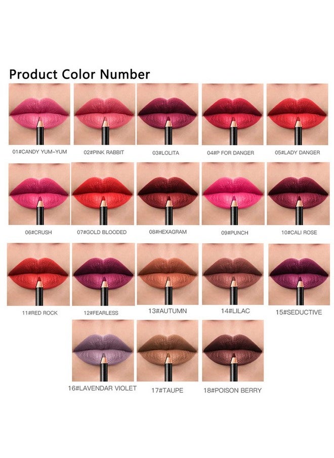 DC-BEAUTIFUL 18 Colors Lip Liners Pencil Set With 2 Pencil Sharpeners Premium Waterproof Smooth Lip Pencils Long Lasting Matte Makeup Lipliners  - Image 4