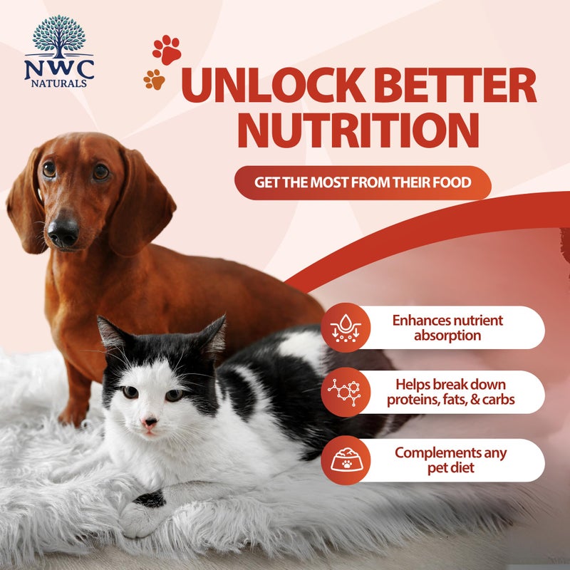 NWC Naturals Total-Zymes Digestive Enzymes for Cats and Dogs, Unflavored, Gut Health with Prebiotic to Support Food Digestion & Absorption, 365 Servings - 8 Ounces - Image 3