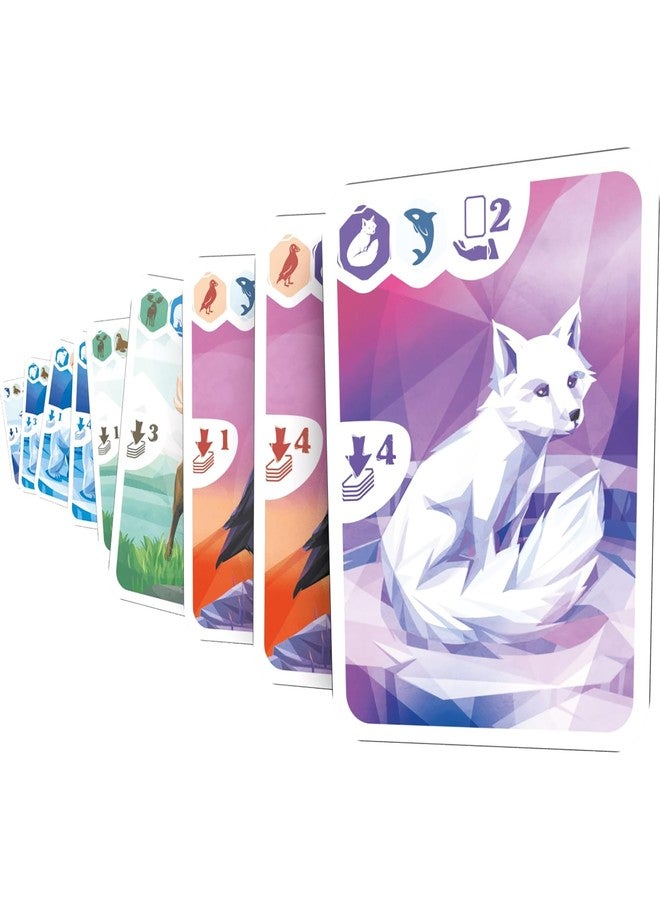 Ludonaute: Arctic - Strategy Card Game, Animal Set Collection & Hand Management, Clever Gameplay, Utilize Animal Powers, Ages 10+, 2-4 Players, 20 Min - Image 4