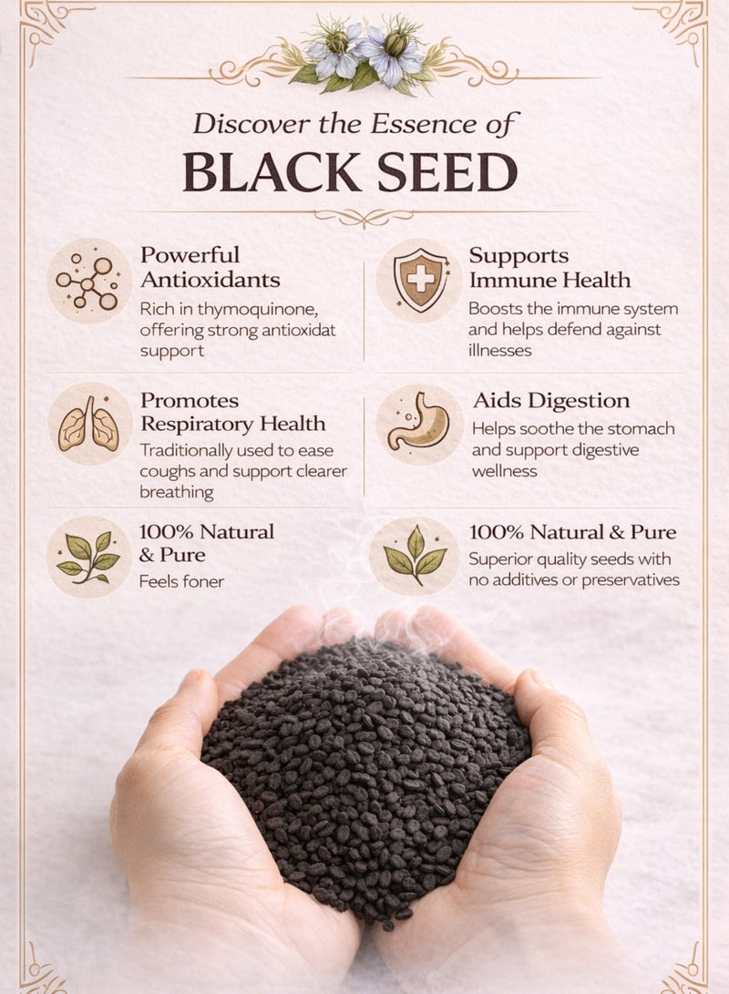زهر بذور الحبة السوداء المجففة (حبة البركة) – بذور نيجيلة ساتيفا | الكمون الأسود | كالونجي – بذور طبيعية كاملة عالية الجودة | نقية 100% للاستخدام في البستنة والزراعة والنباتات والأعشاب. - Image 4