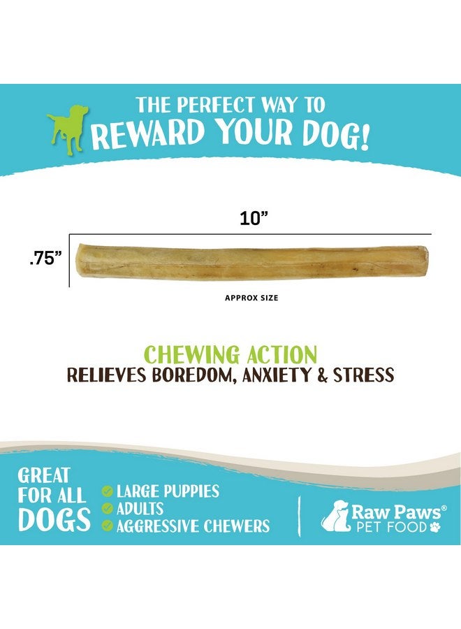 Raw Paws 10-inch Compressed Rawhide Sticks for Dogs, 20-ct - Pressed Rawhide Chews for Large Dogs & Medium Dogs - Safe Raw Hide Rolls - Natural Rawhide Dog Chew Long Lasting for Aggressive Chewers - Image 3