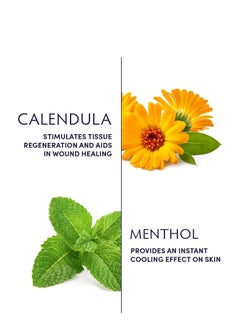 Naturopathica Naturopathica Calendula & Mint Nourishing Hand & Body Cleanser, Moisturizing Body Wash and Foaming Hand Soap, Body Wash for Men and Women, 8.4 fl oz  - Image 3