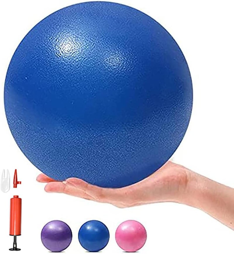 MOMPLUS 6 Inch Exercise Pilates Mini Yoga Balls Barre for Home Stability Squishy Training Physical Therapy Improves Balance with Pump - Image 1