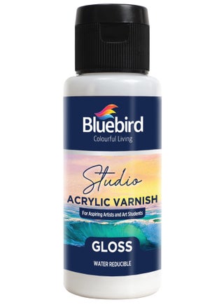 Premium Acrylic Varnish Gloss - Protect and Enhance Your Artwork 100 ml - pzsku/Z1F9A93DE1DF55ADF2C69Z/45/_/1731332853/40b89c48-5a60-4865-a505-673bfe394bc1