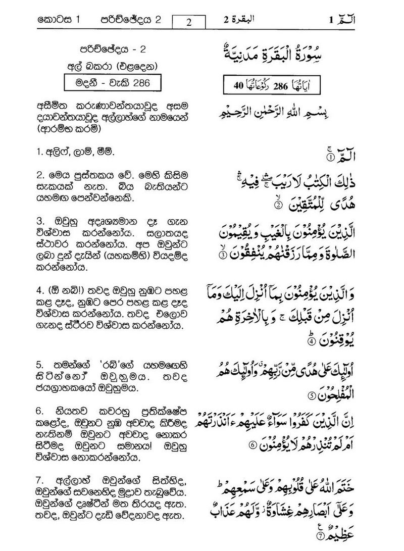 Translation of the meanings of the Holy Quran in Sinhala 24*17 - Image 4