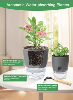 Plant Pots 7Inch 3pcs/5.3Inch/4.3 Inch Self Watering Pots, Set of 5 Plastic Planters with Drainage Holes and Saucers,Plastic Flower Pots,Nursery Planting Pot for Indoor Out Door Plants - pzsku/Z1F9CC4F38B0BD5F9BEA0Z/45/_/1706686343/0558eb9f-176d-4d34-8e45-7a429e8cad0a