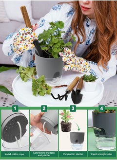 Plant Pots 7Inch 3pcs/5.3Inch/4.3 Inch Self Watering Pots, Set of 5 Plastic Planters with Drainage Holes and Saucers,Plastic Flower Pots,Nursery Planting Pot for Indoor Out Door Plants - pzsku/Z1F9CC4F38B0BD5F9BEA0Z/45/_/1706686343/529084d0-ca76-471f-bc9c-1de56866117e