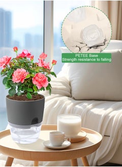 Plant Pots 7Inch 3pcs/5.3Inch/4.3 Inch Self Watering Pots, Set of 5 Plastic Planters with Drainage Holes and Saucers,Plastic Flower Pots,Nursery Planting Pot for Indoor Out Door Plants - pzsku/Z1F9CC4F38B0BD5F9BEA0Z/45/_/1706686345/ee6cc647-a4eb-4d78-8451-d4ed295fc74f