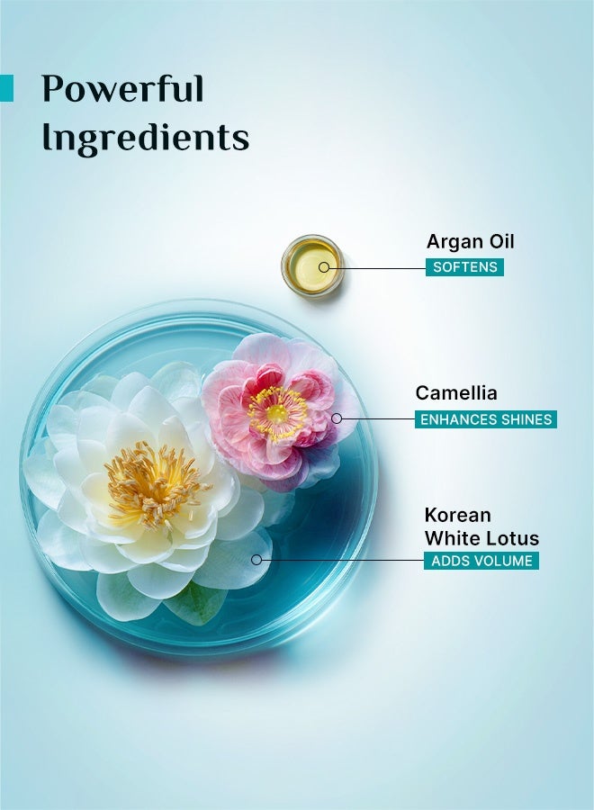 PILGRIM Mild Sulphate Free Shampoo (Argan Oil) For Dry Frizzy Hair, Men and Women, No Sulphate No Paraben, Korean Beauty Secrets (Shampoo), 200ml - Image 3