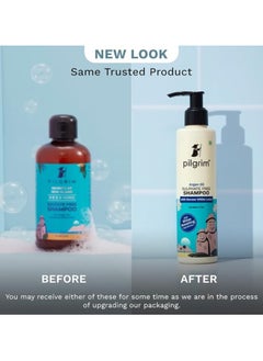 PILGRIM Mild Sulphate Free Shampoo (Argan Oil) For Dry Frizzy Hair, Men and Women, No Sulphate No Paraben, 200ml  - Image 5