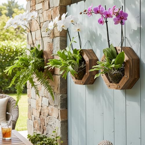 Dranvosk Staghorn Fern Mounting Kit - Wood Wall Planter for Orchids,Herbs & Indoor Plants | Hanging Plant Holder,Basket & Stand for Wall Decor(8.18inch) - Image 2
