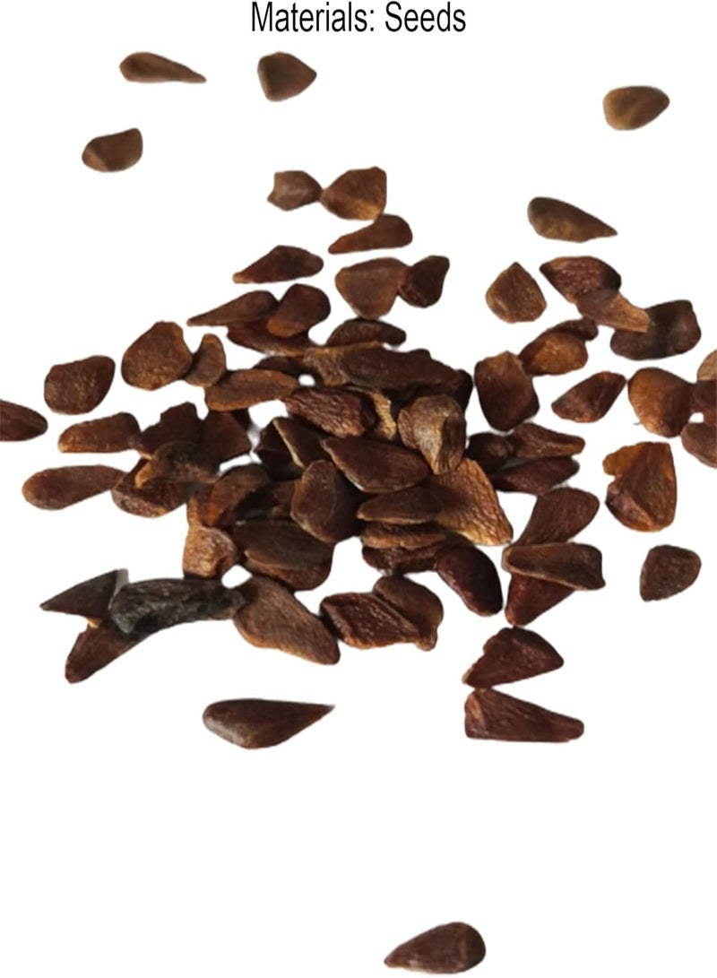 GGOOT 100Pcs/Bag Seeds Prolific Deciduous Special Excellent Producing Parijat Seeds - Image 4