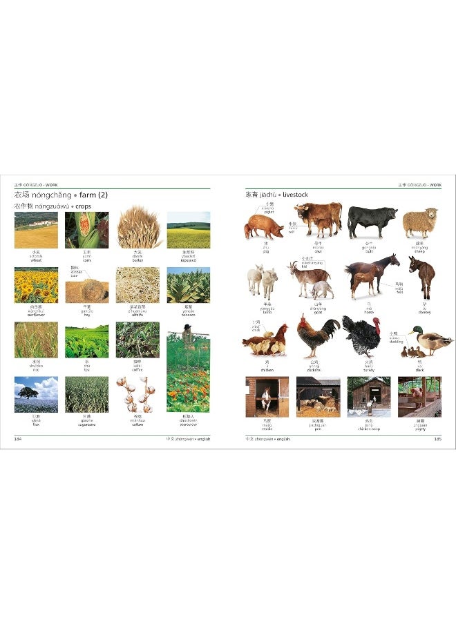 DK - Mandarin Chinese English Bilingual Visual Dictionary - Image 1