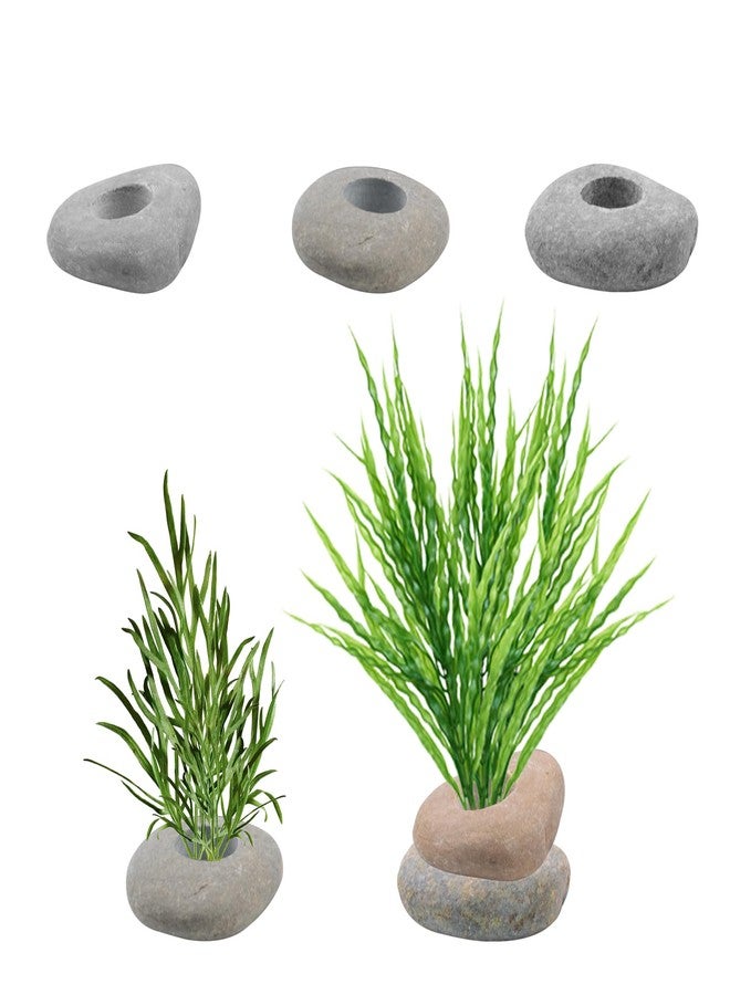 SnowTing 6 Pcs Natural River Stone Plant Weights for Fish Tank, Pebble Aquatic Plants Fixed Ring, Unique Anti-Floating Decorative River Rock Anchors for Aquarium Landscape Decoration (0.79'' Hole Diameter) - Image 1