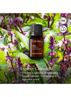 gya labs Holy Basil (Tulsi) Essential Oil (0.34 fl oz) - Natural Premium Grade - Sweet, Herbaceous Scent  - Image 3