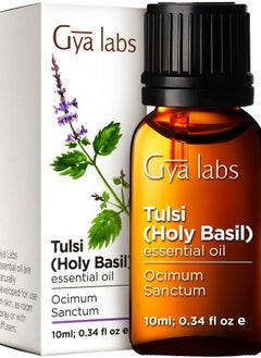 gya labs Holy Basil (Tulsi) Essential Oil (0.34 fl oz) - Natural Premium Grade - Sweet, Herbaceous Scent  - Image 1