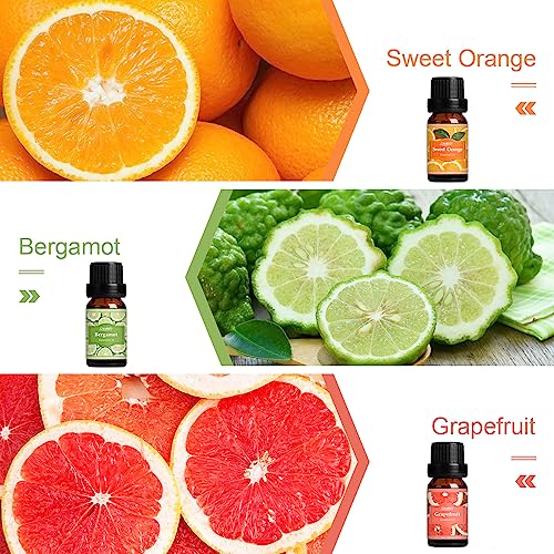 SALUBRITO Fresh Fruit Fragrance Oils Set, Essential Oils for Diffuser, Candle, Soap Making - Strawberry, Sweet Orange, Pineapple, Coconut, Bergamot, Grapefruit, 6X10ml - Image 4