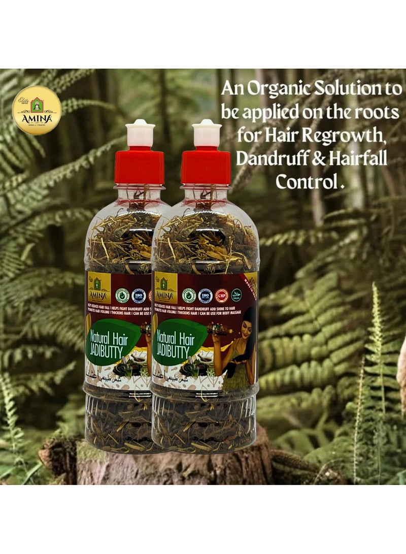 Amina Natural Hair Jadibuti For Men And Women | 100% Natural | 175g (Pack of 2) - Image 2
