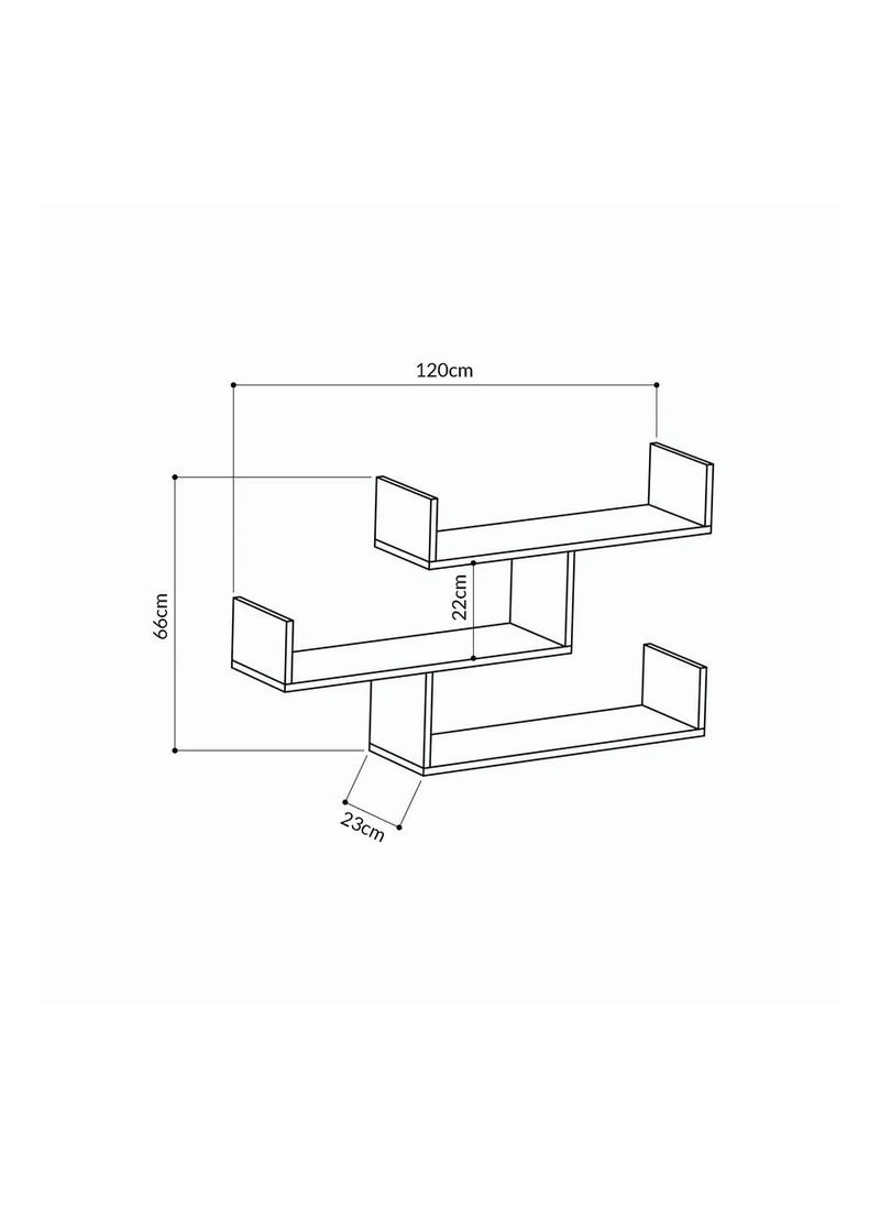 Set of 3 Wall Mounted Floating Shelf for Decorative and other Stuff