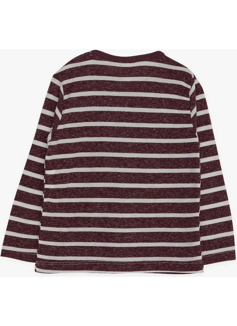 Breeze Baby Boy Long Sleeve T-Shirt Striped 9 Months-3 Years, Plum