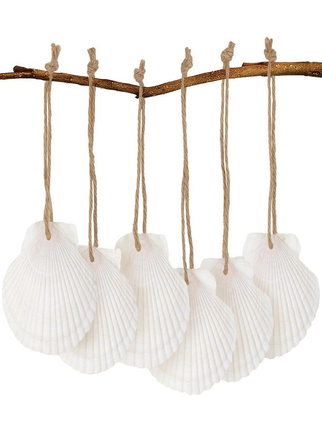 SINKOO 16PCS Natural Sea Shells 2.5"-3.5" Perforation Scallop Shells with Rope,for Christmas Tree Ornaments & DIY Hanging Home Deocration Craft Shells - Image 1
